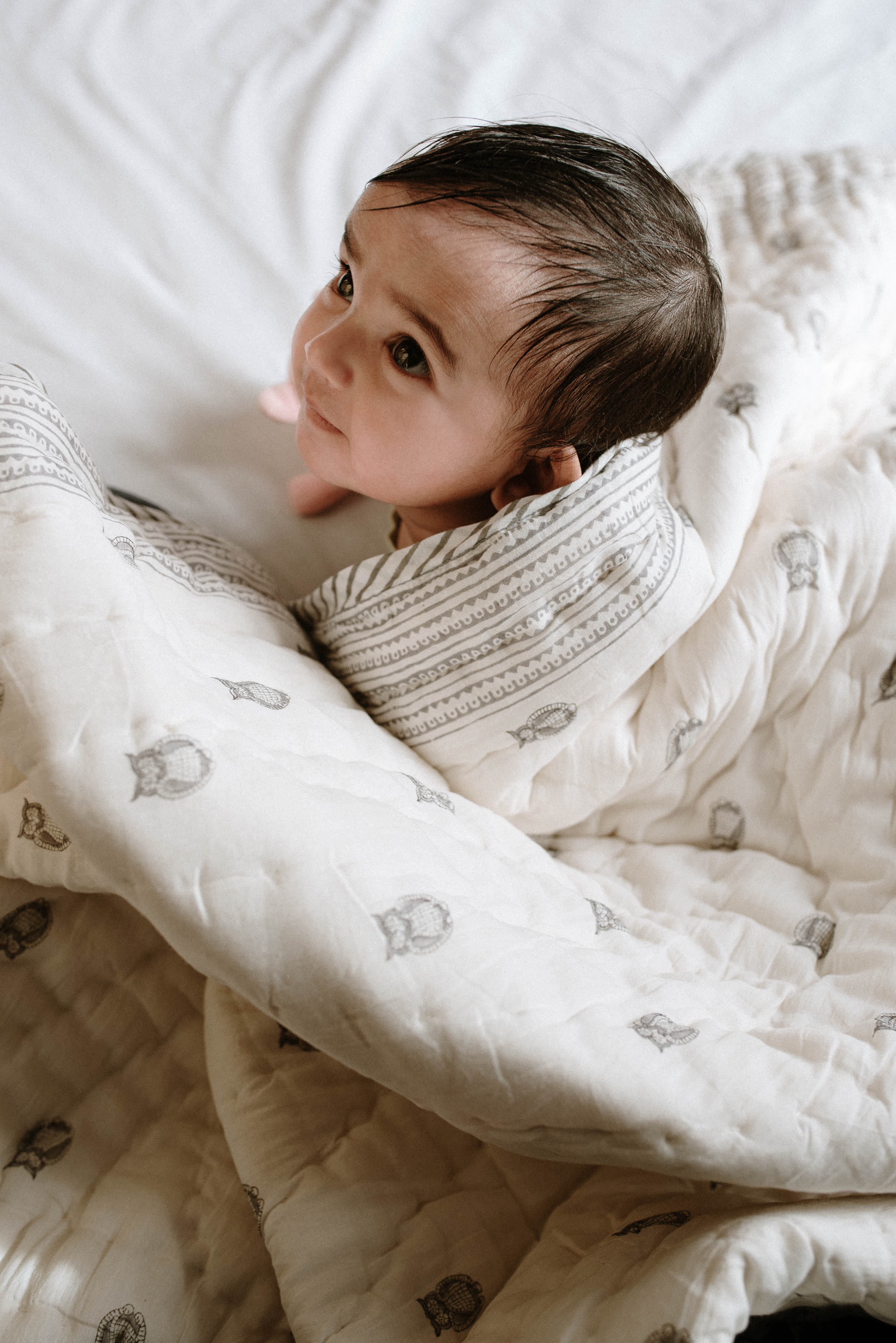 Aden and clearance anais owl blanket